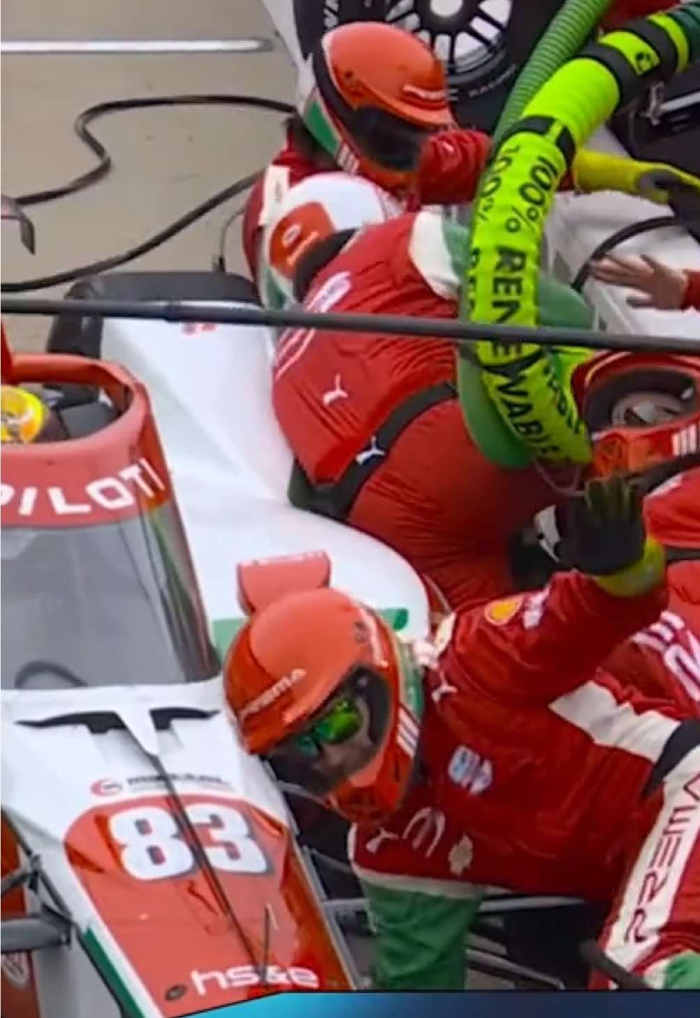 Video post by @indycaronfox on TikTok