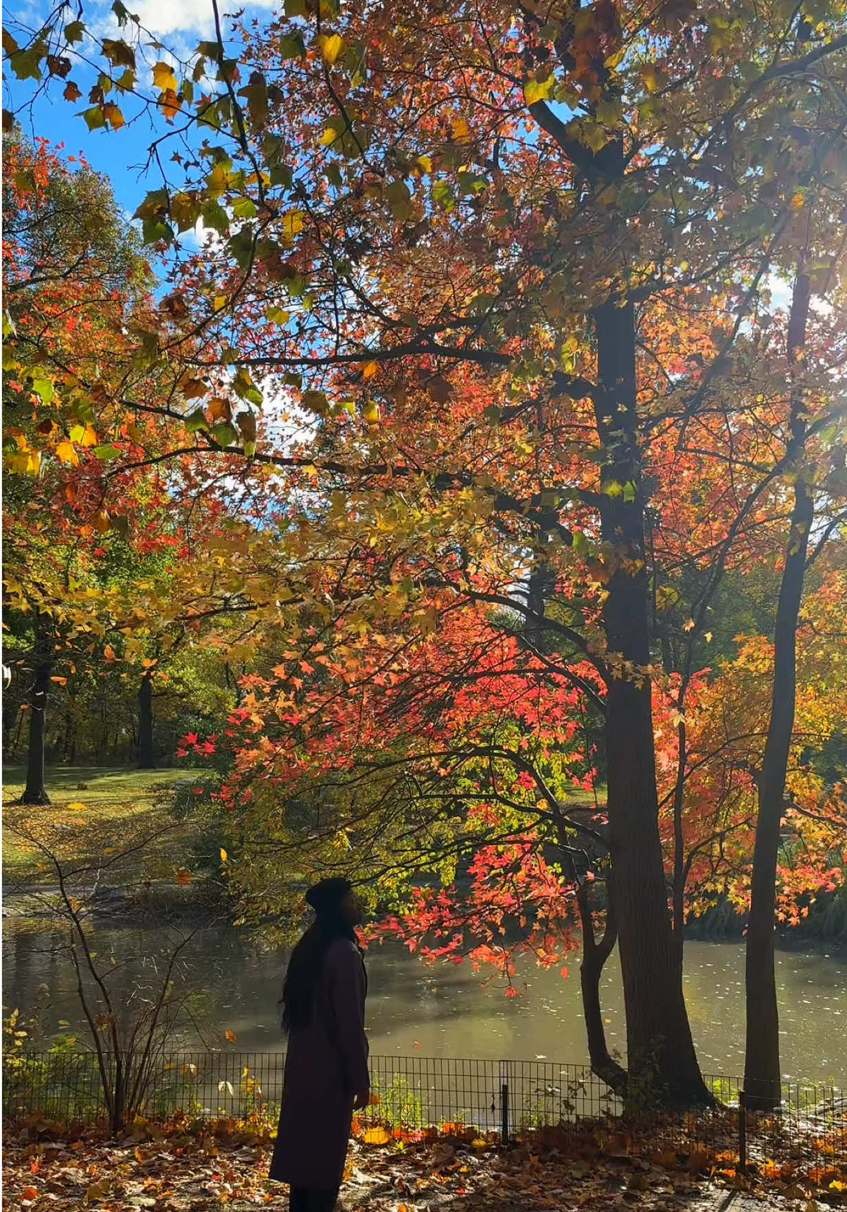 Video post by @jannehkonneh on TikTok