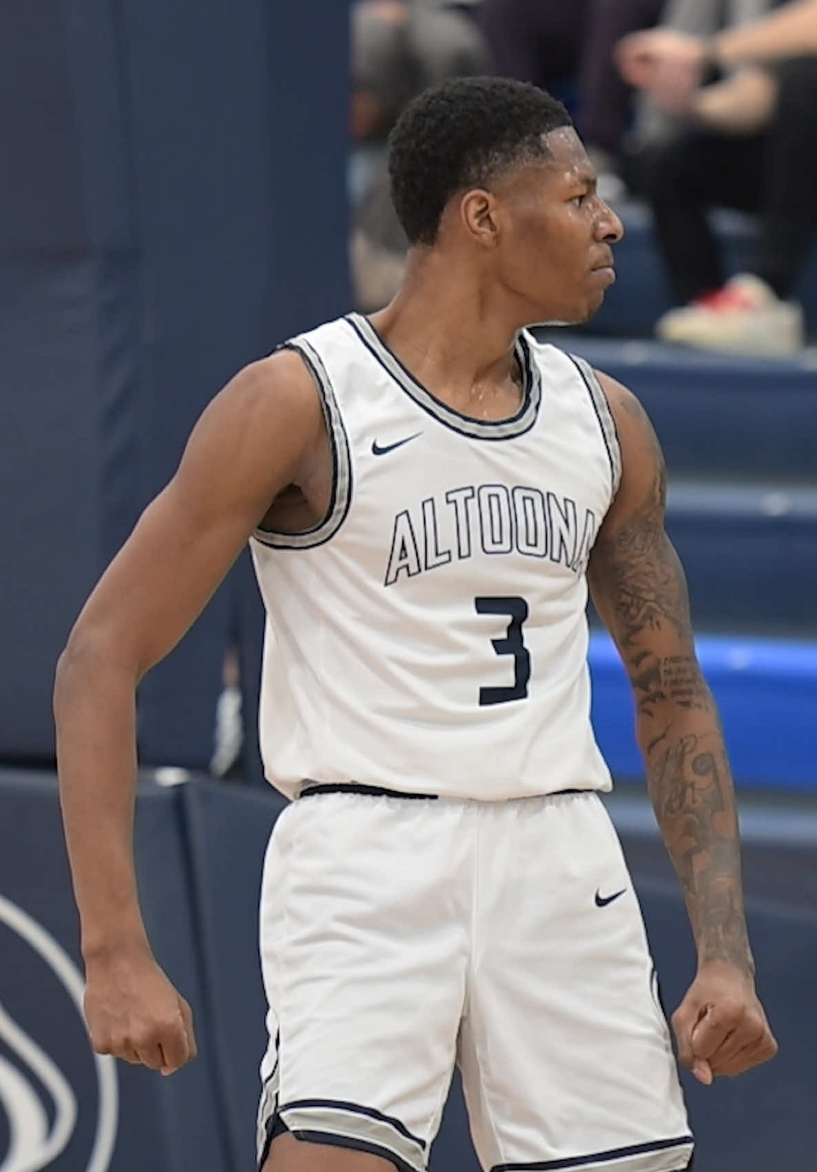 Video post by @slossgraphics on TikTok