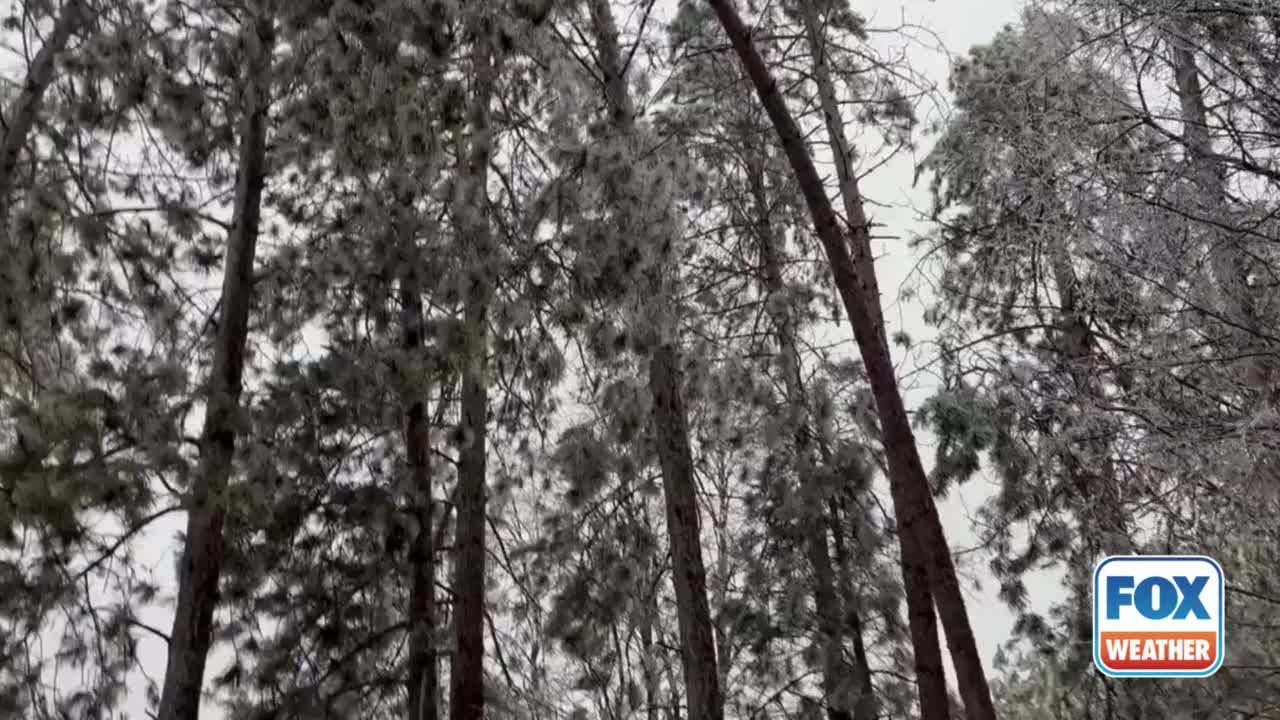 Video post by @foxweather on TikTok