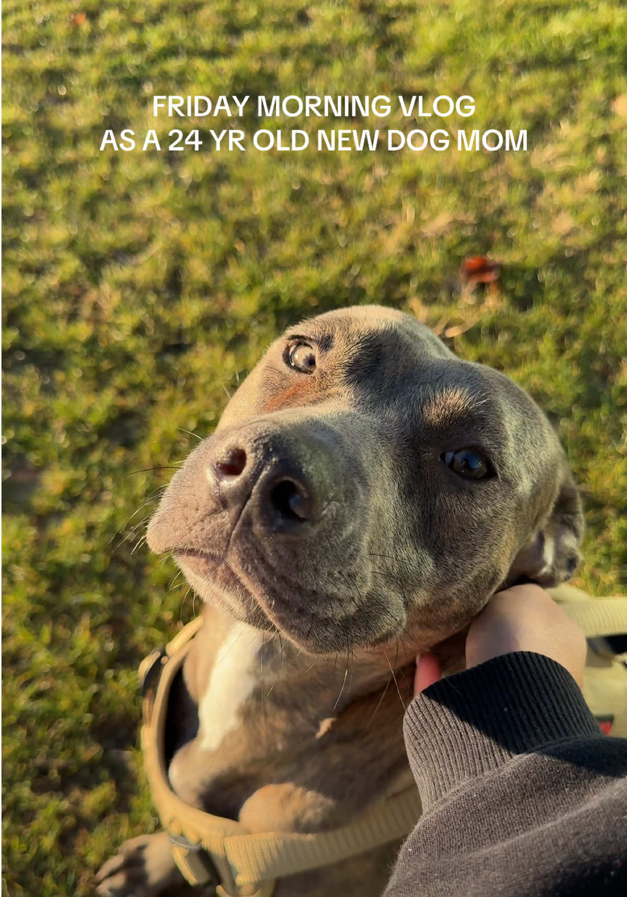 Video post by @marydfitness on TikTok