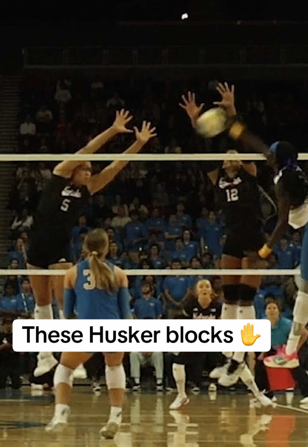 Video post by @randysilvertv on TikTok