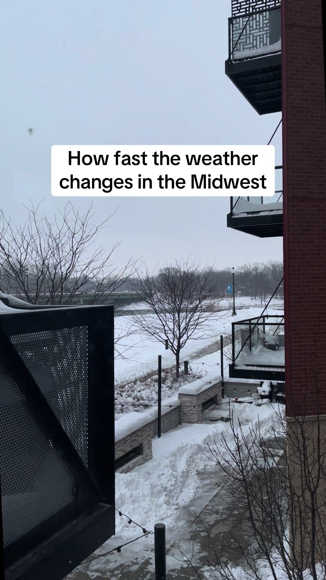 Video post by @midwestvstherest on TikTok