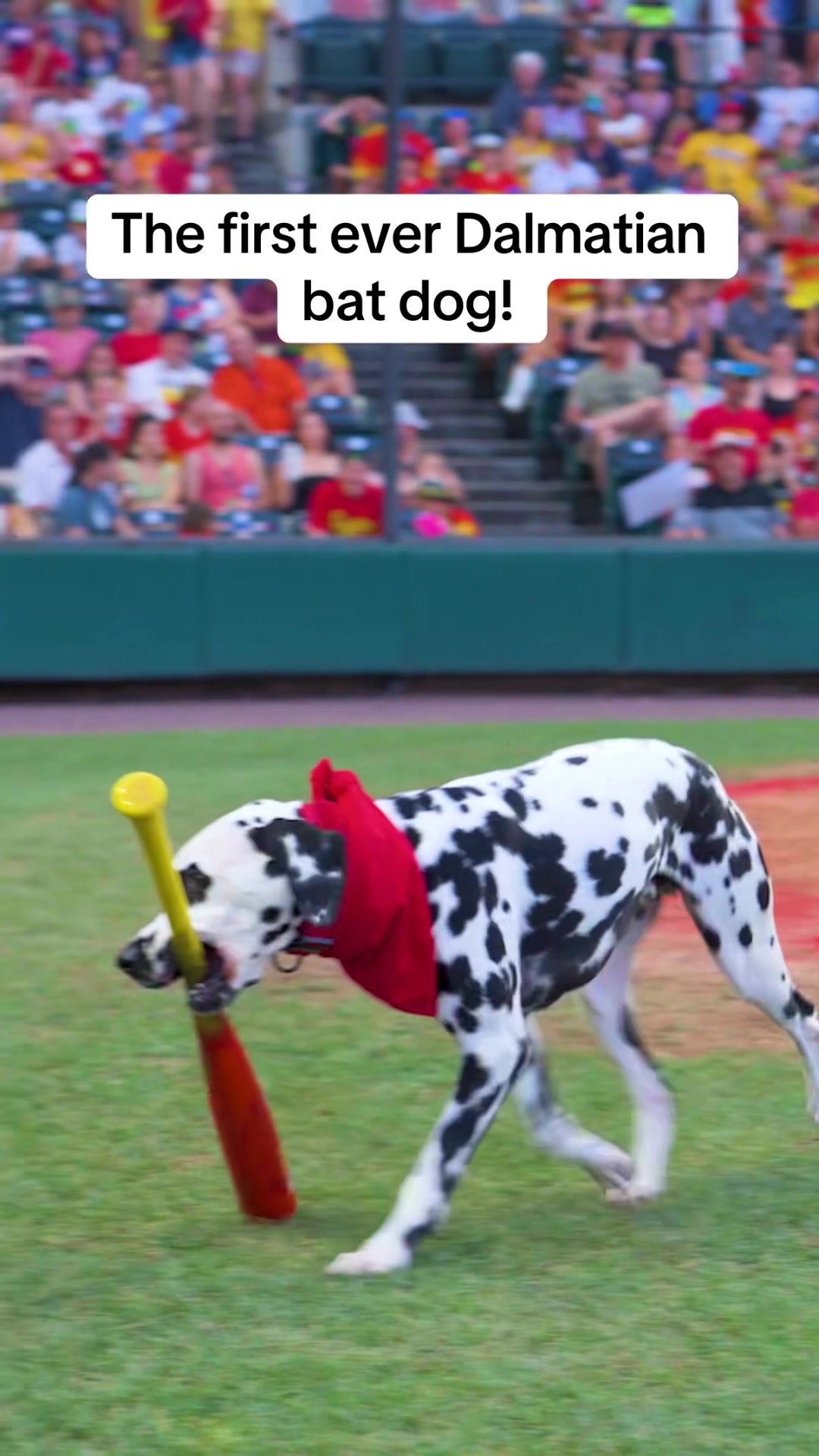 Video post by @theofficialfirefighters on TikTok