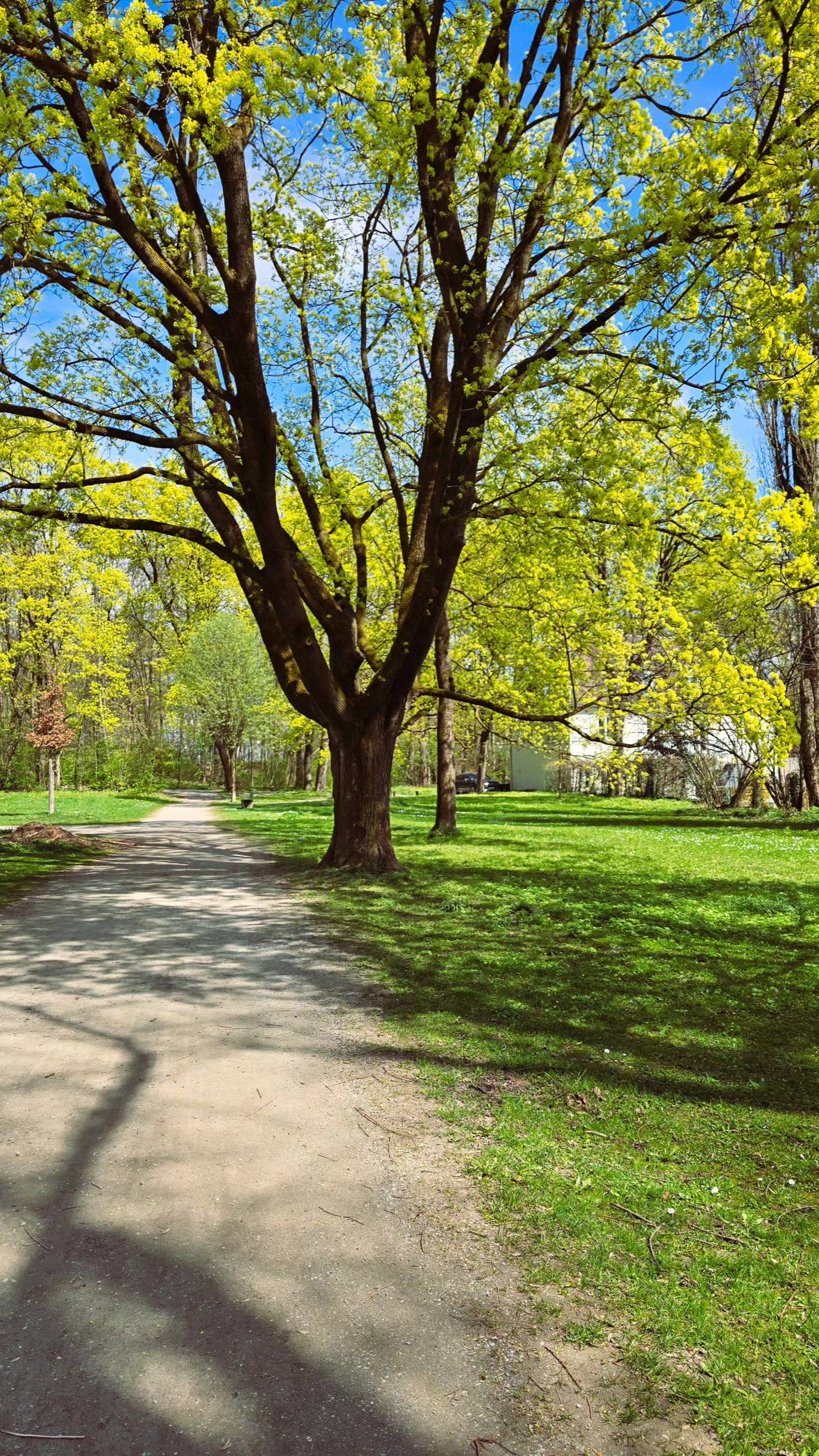 Video post by @henargomezphotography on Facebook