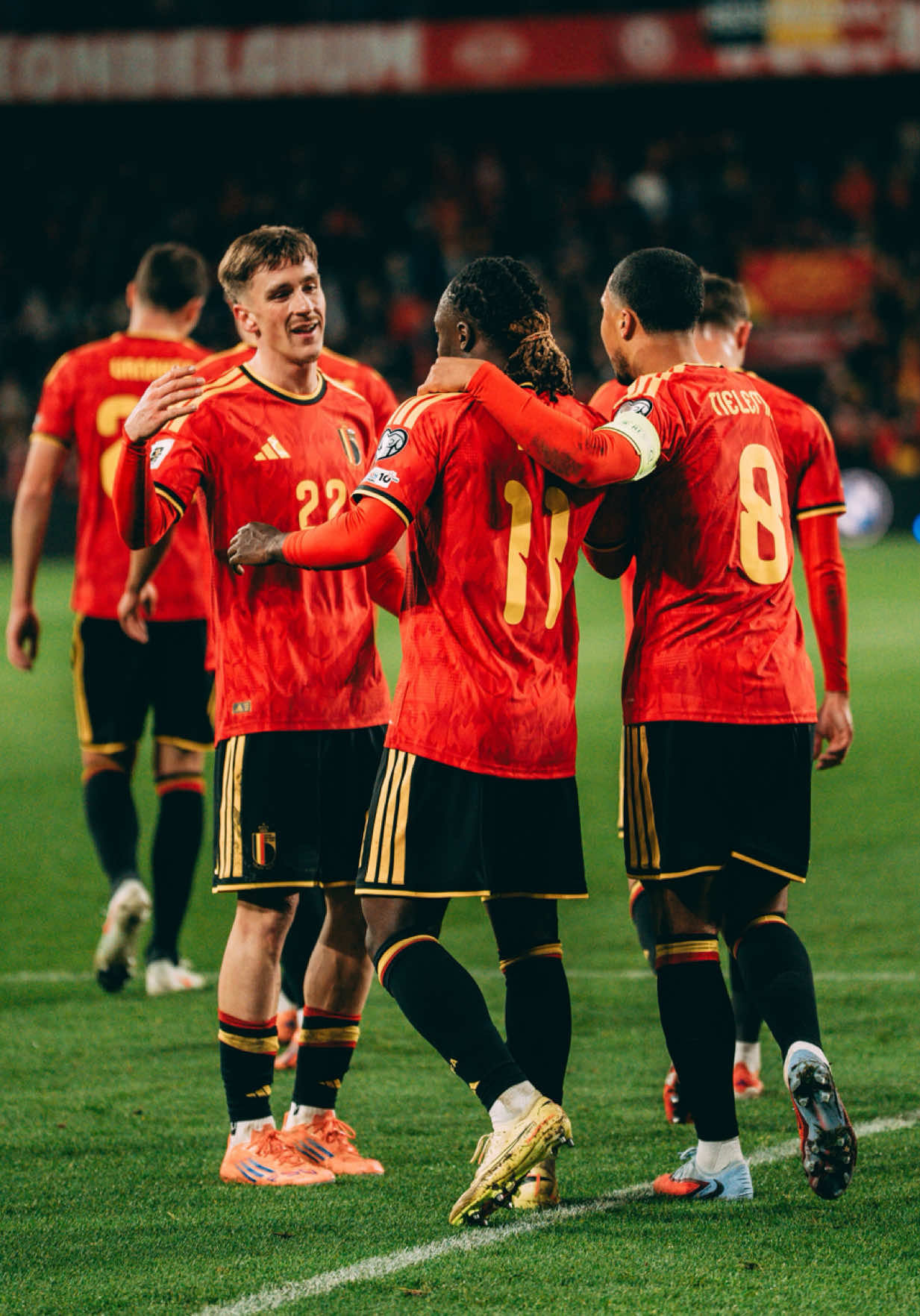 Video post by @royalbelgianfa on TikTok