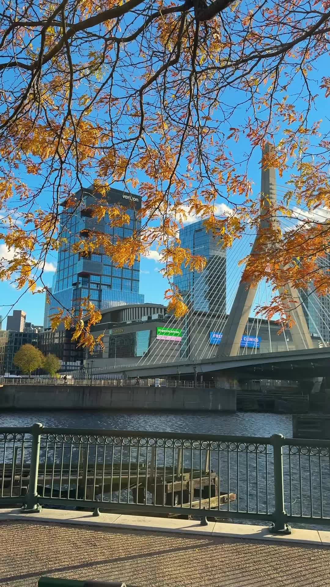 Video post by @tdgarden on TikTok