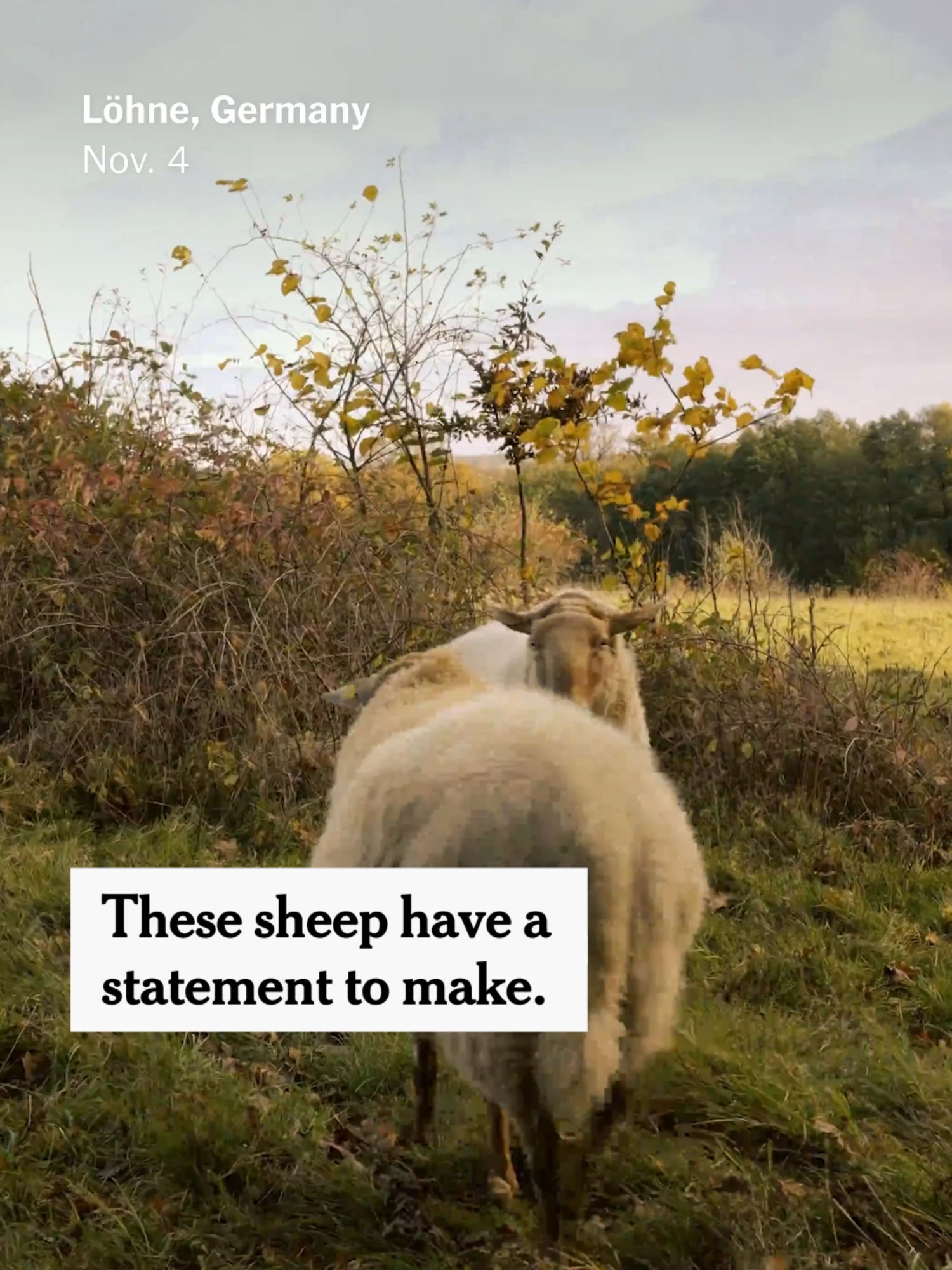 Video post by @nytimes on TikTok