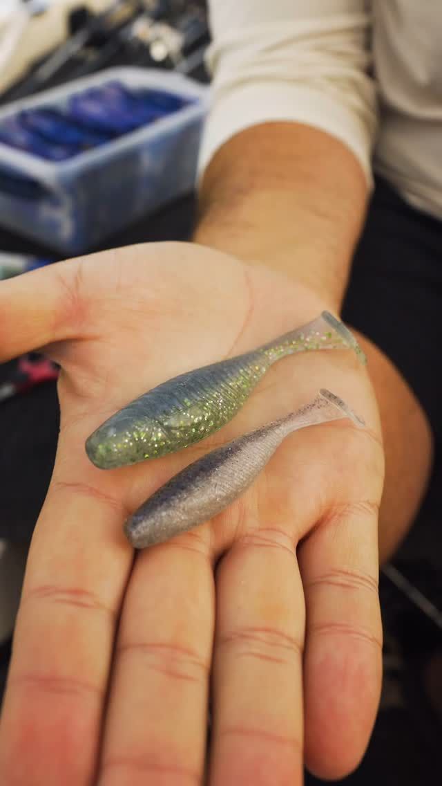 Video post by @BizzBaits on Facebook
