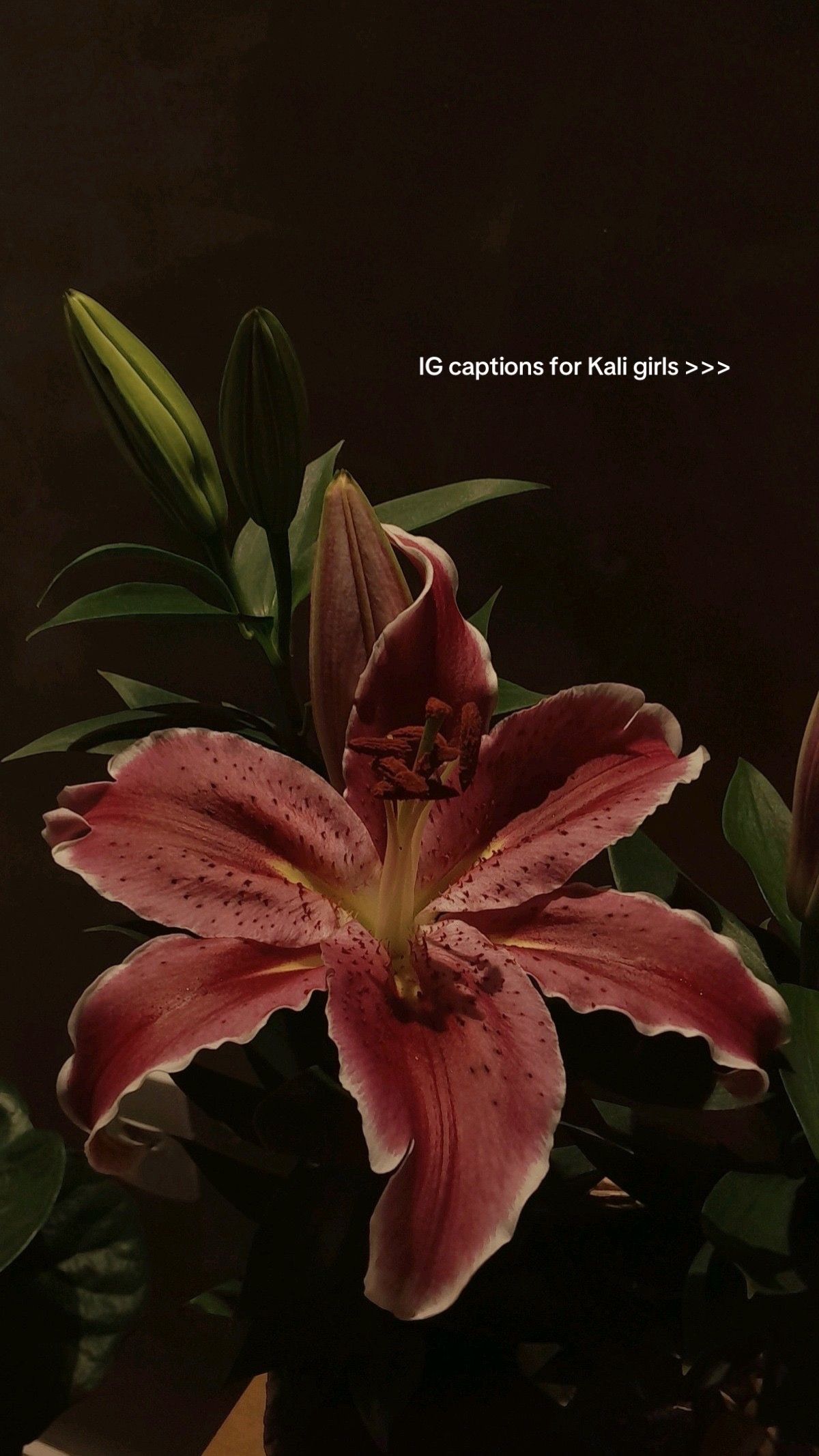 Video post by @uchisaesthetic on TikTok