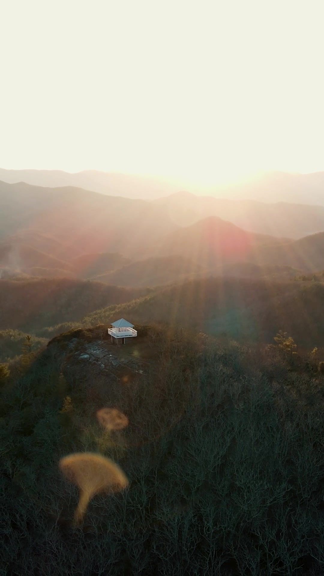 Video post by @drewpeden on TikTok