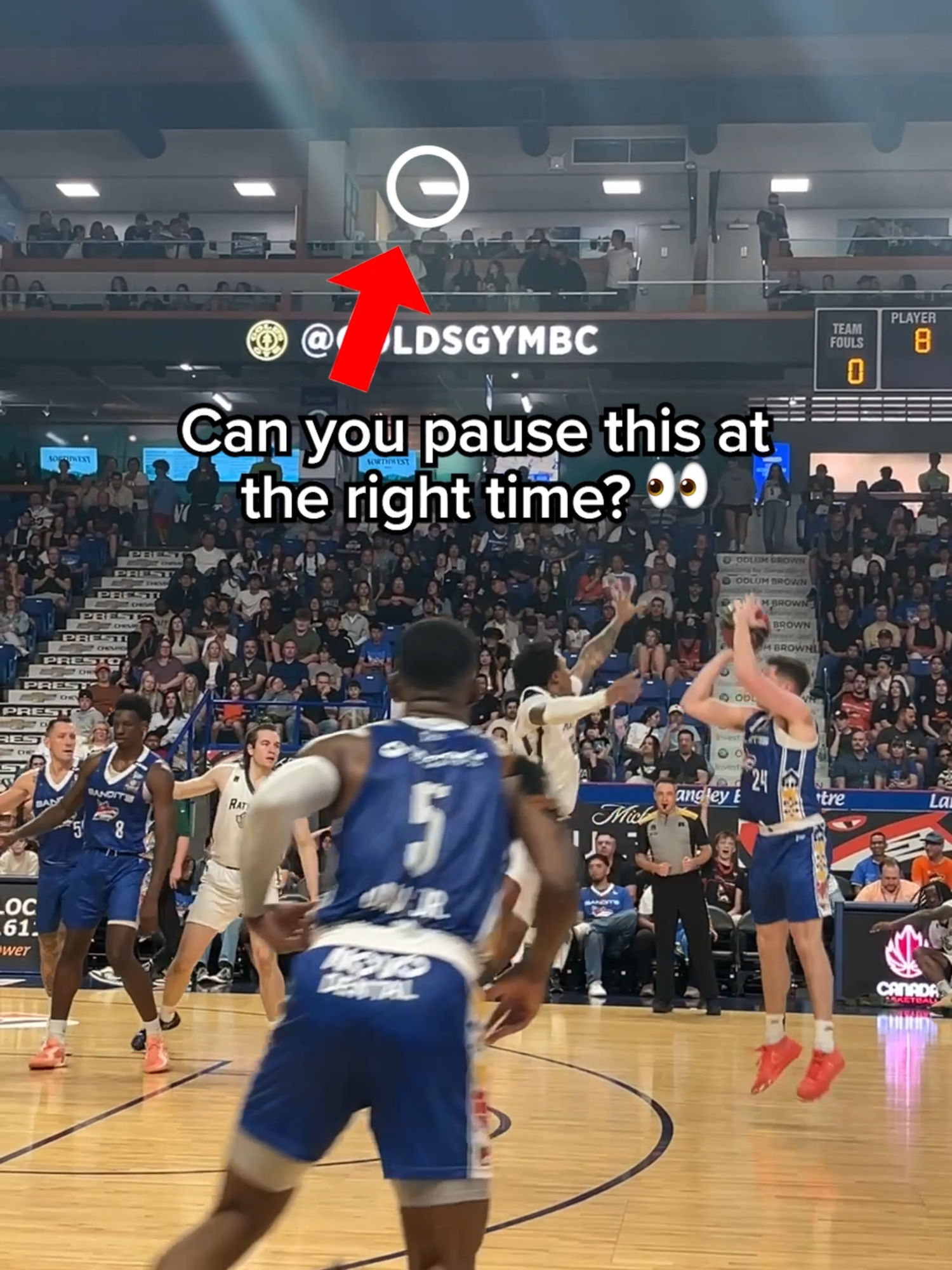 Video post by @vancouverbandits on TikTok