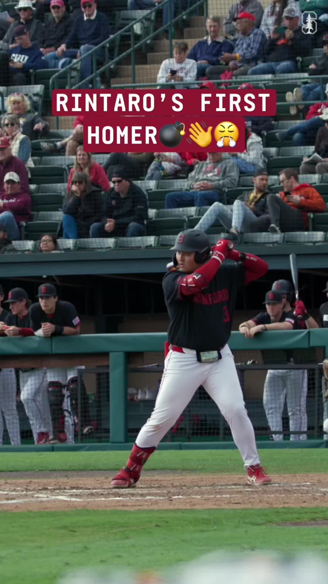 Video post by @gostanford on TikTok