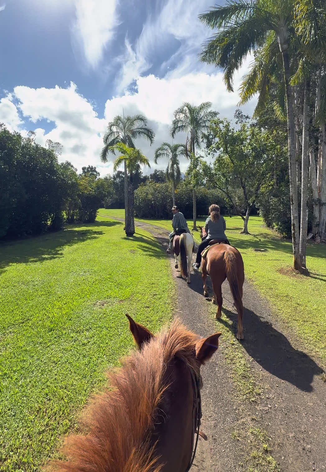 Video post by @pickleballerin on TikTok