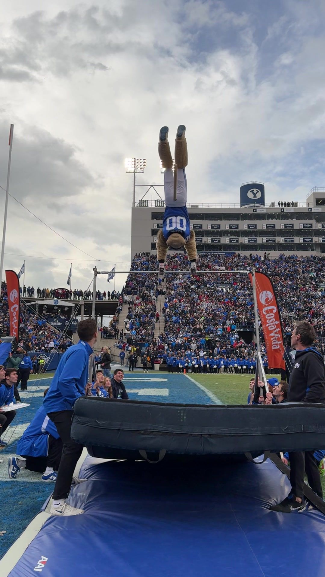 Video post by @cosmo_cougar on TikTok