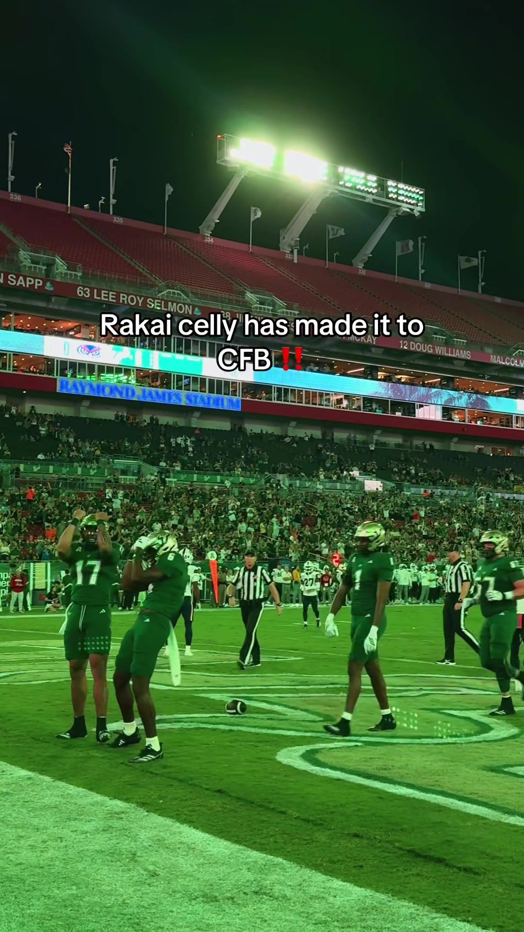 Video post by @sofieaspegren on TikTok