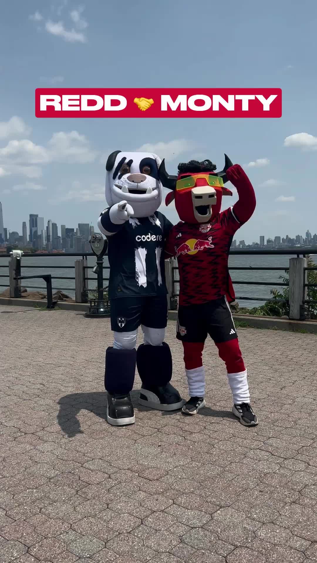 Video post by @redbullnewyork on TikTok