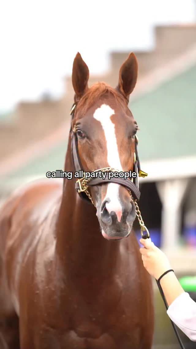 Video post by @AmericasBestRacing on Facebook
