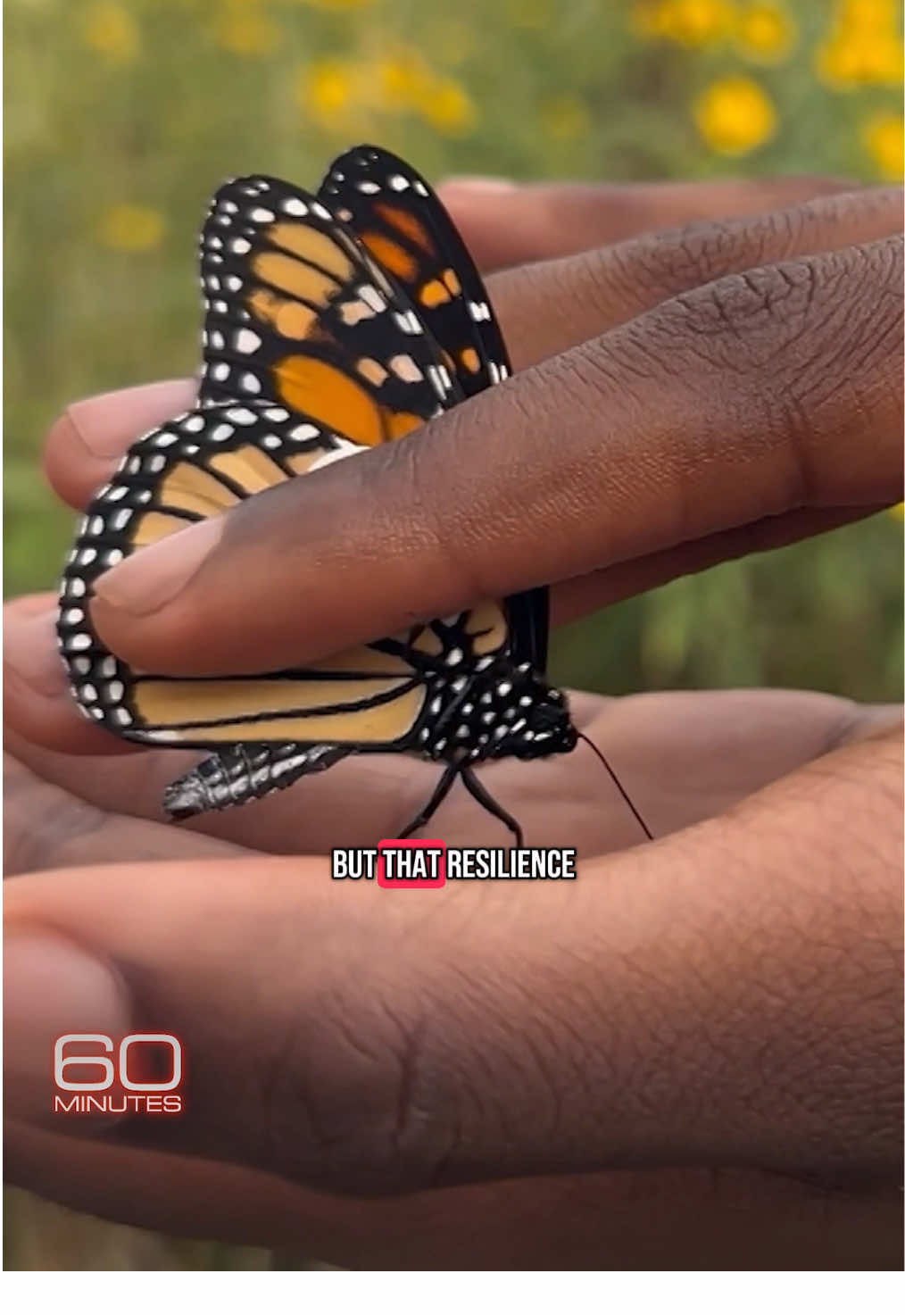 Video post by @60minutes on TikTok