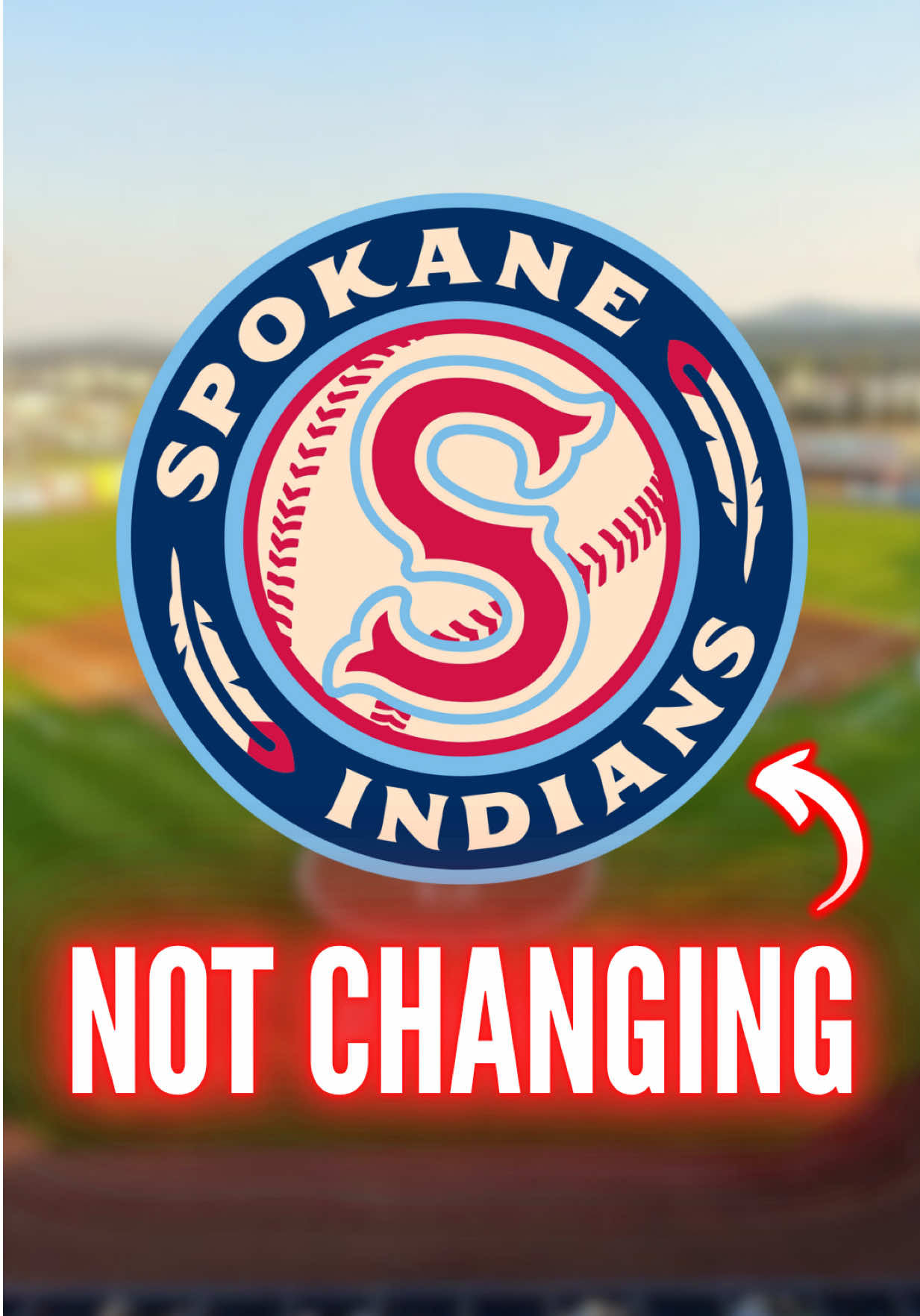 Video post by @attheballpark on TikTok