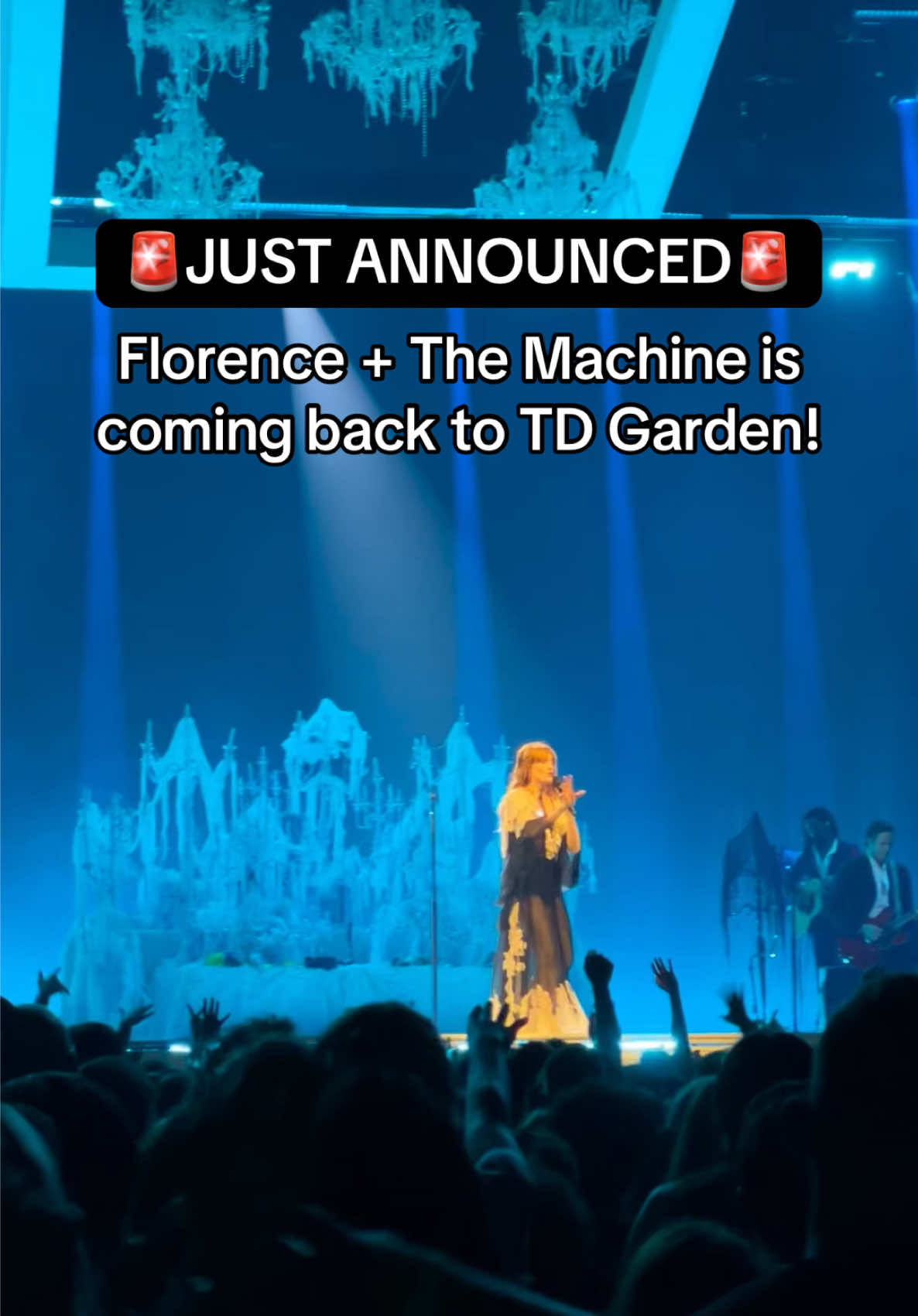 Video post by @tdgarden on TikTok