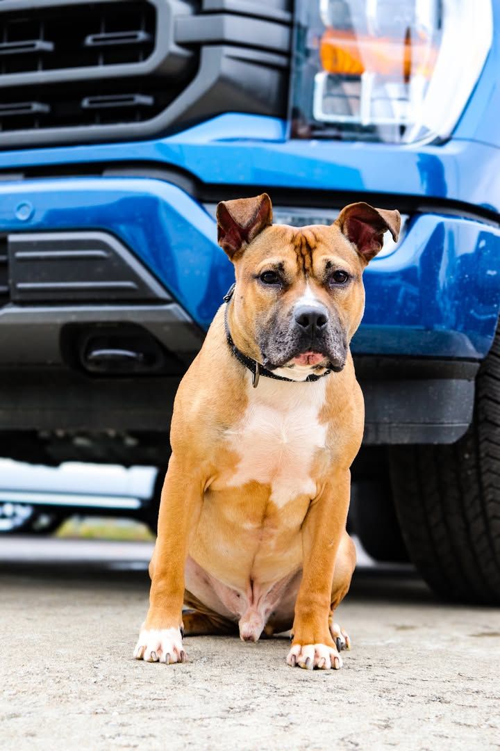 Image post by @PaulMillerAutoOutlet on Facebook