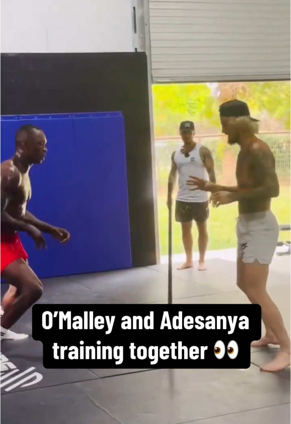Video post by @espnmma on TikTok