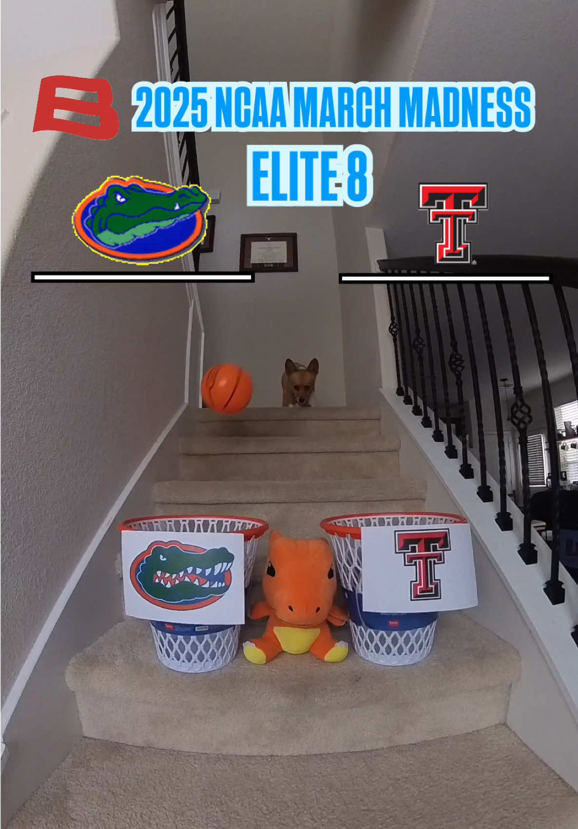 Video post by @aircorg on TikTok