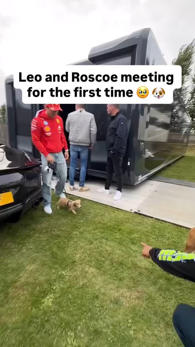 Video post by @motorsportcom on Facebook