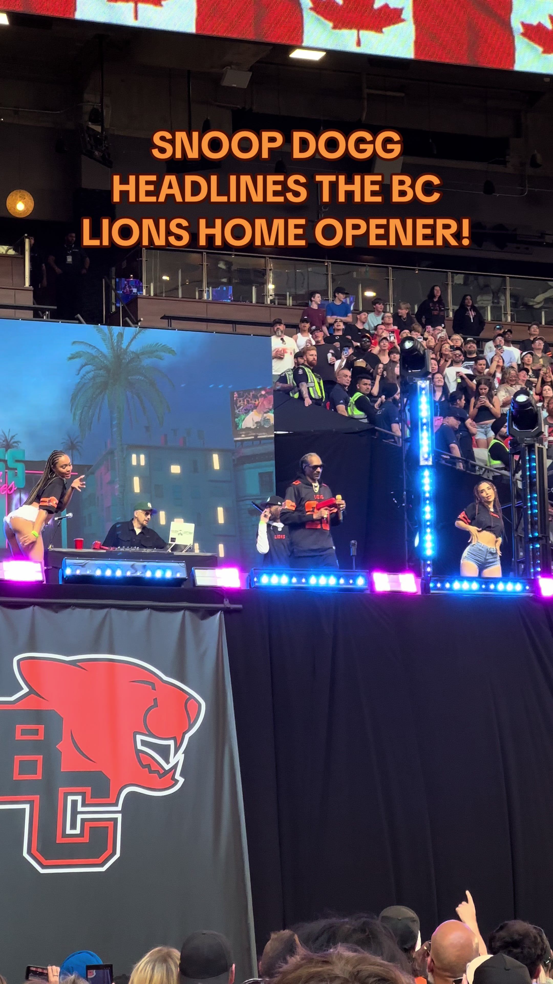 Video post by @itsemraine on TikTok