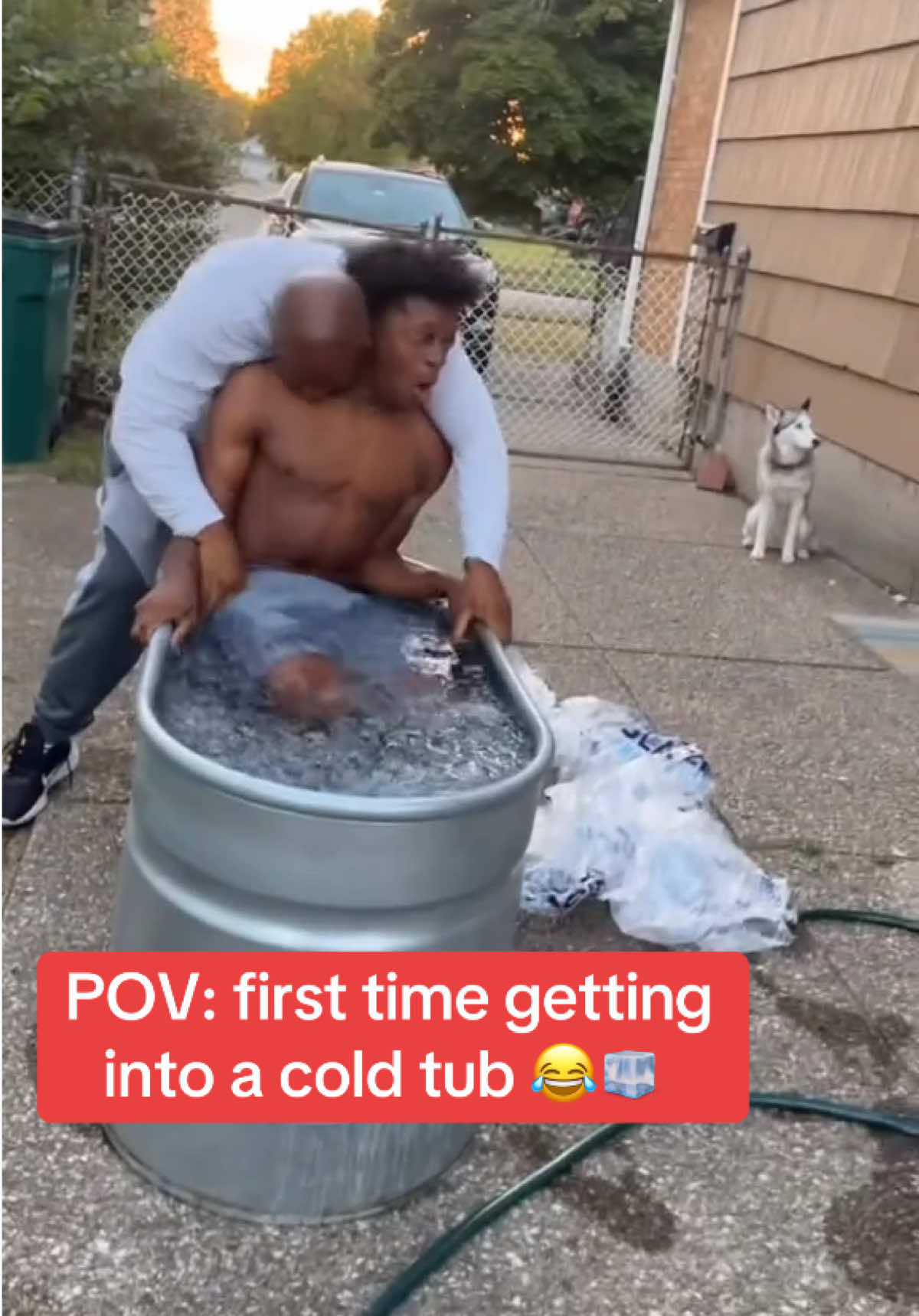 Video post by @whistle on TikTok