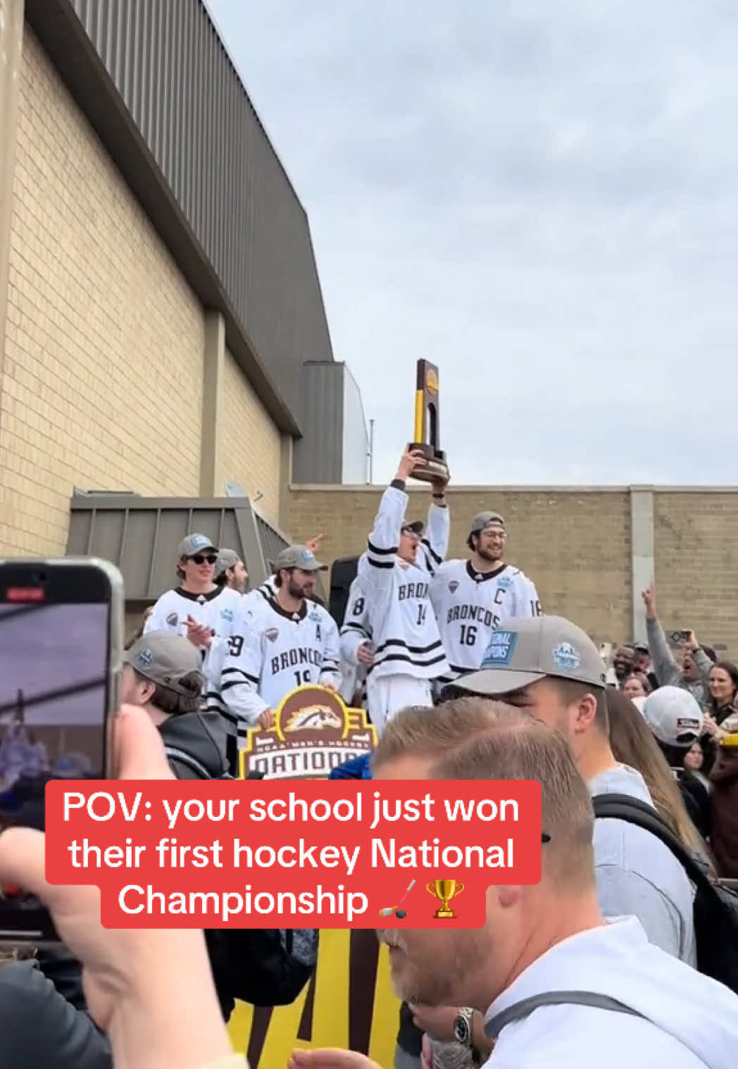 Video post by @whistle on TikTok