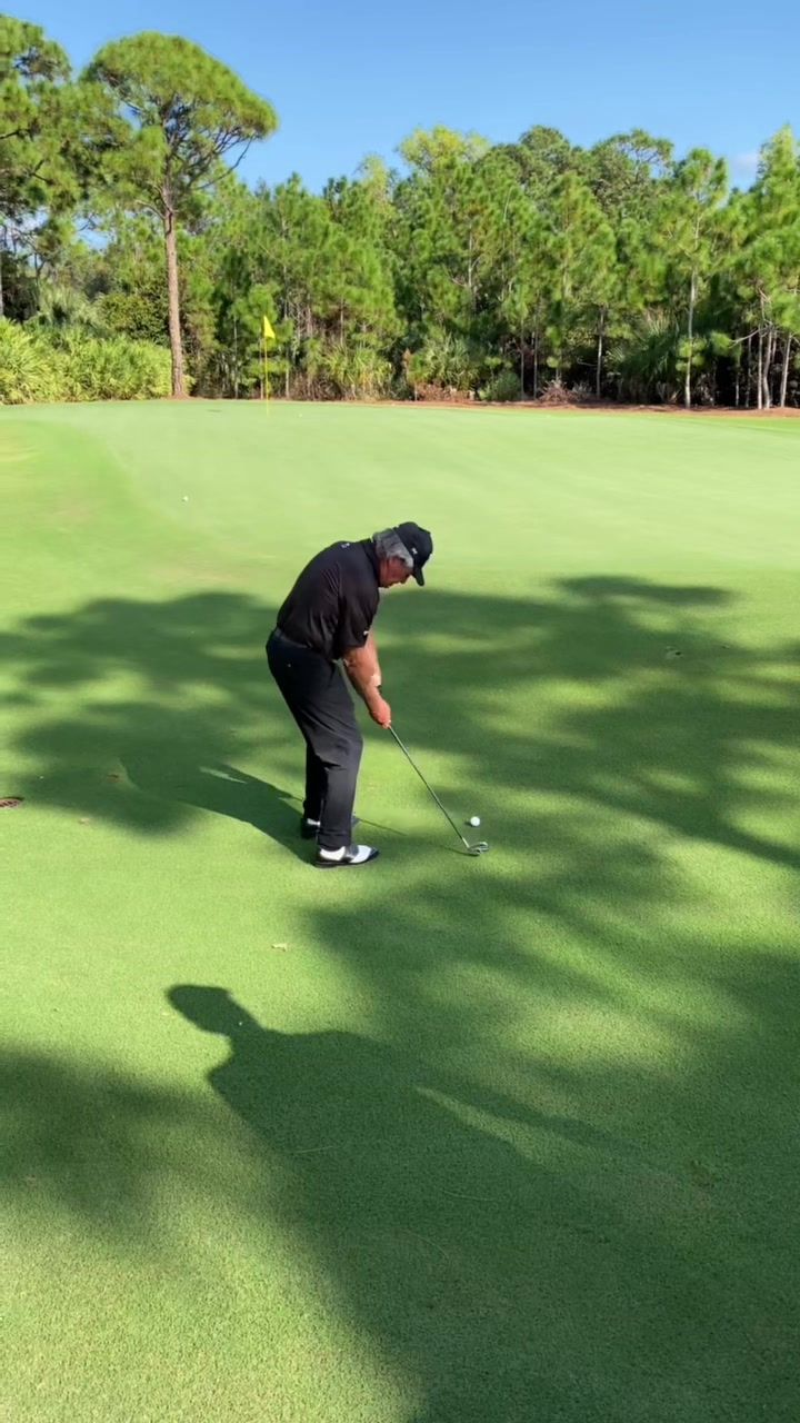 Video post by @garyplayer on TikTok
