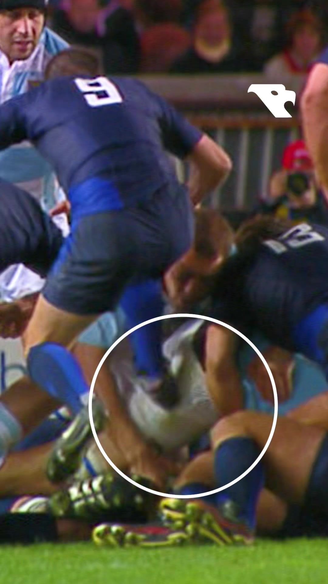 Video post by @rugbymavericks on TikTok