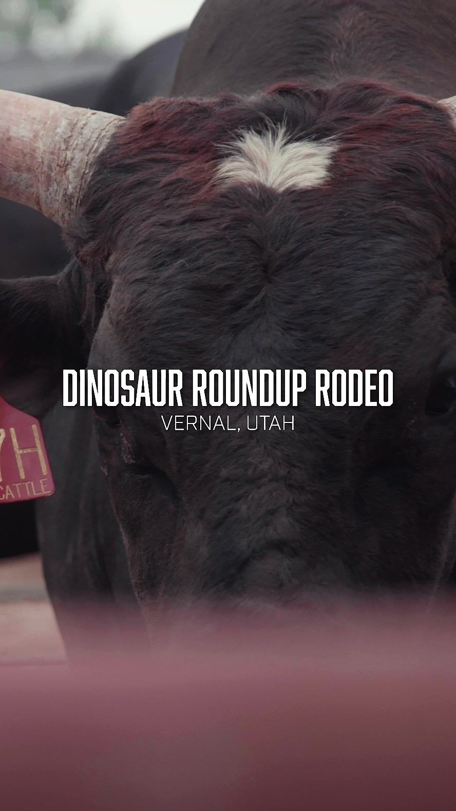 Video post by @prca_prorodeo on TikTok