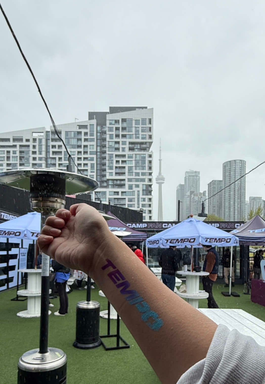 Video post by @dressymess on TikTok