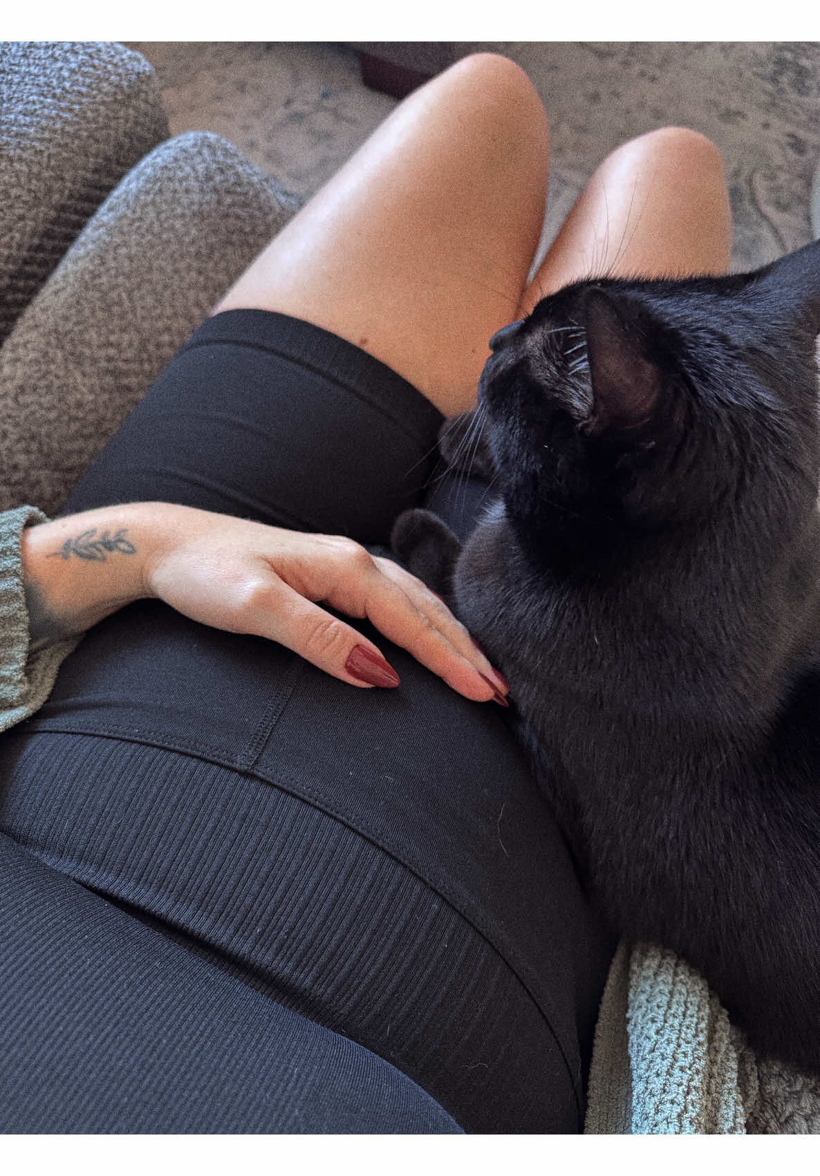 Video post by @chelsearose.m on TikTok