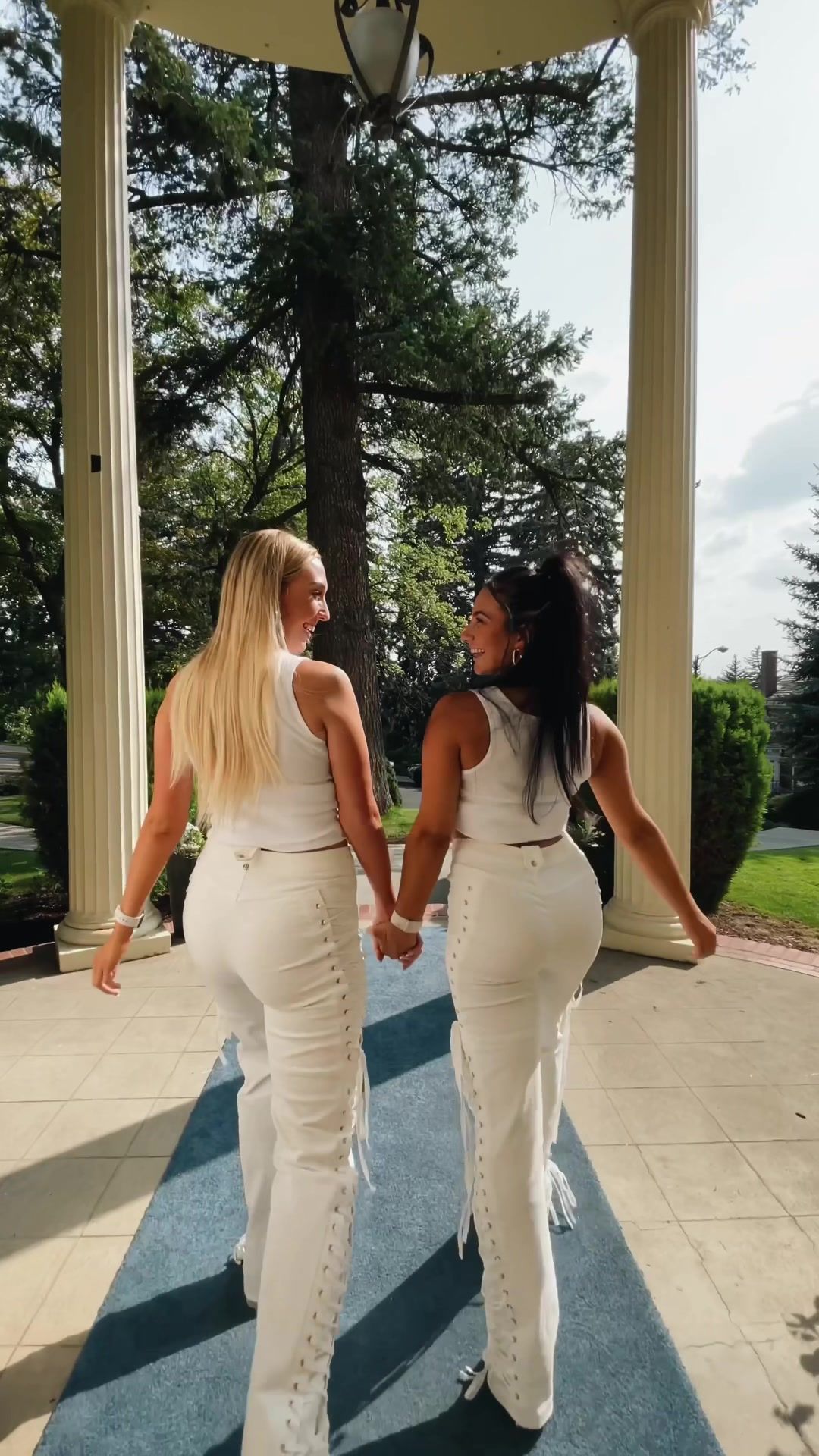 Video post by @roscohen on TikTok