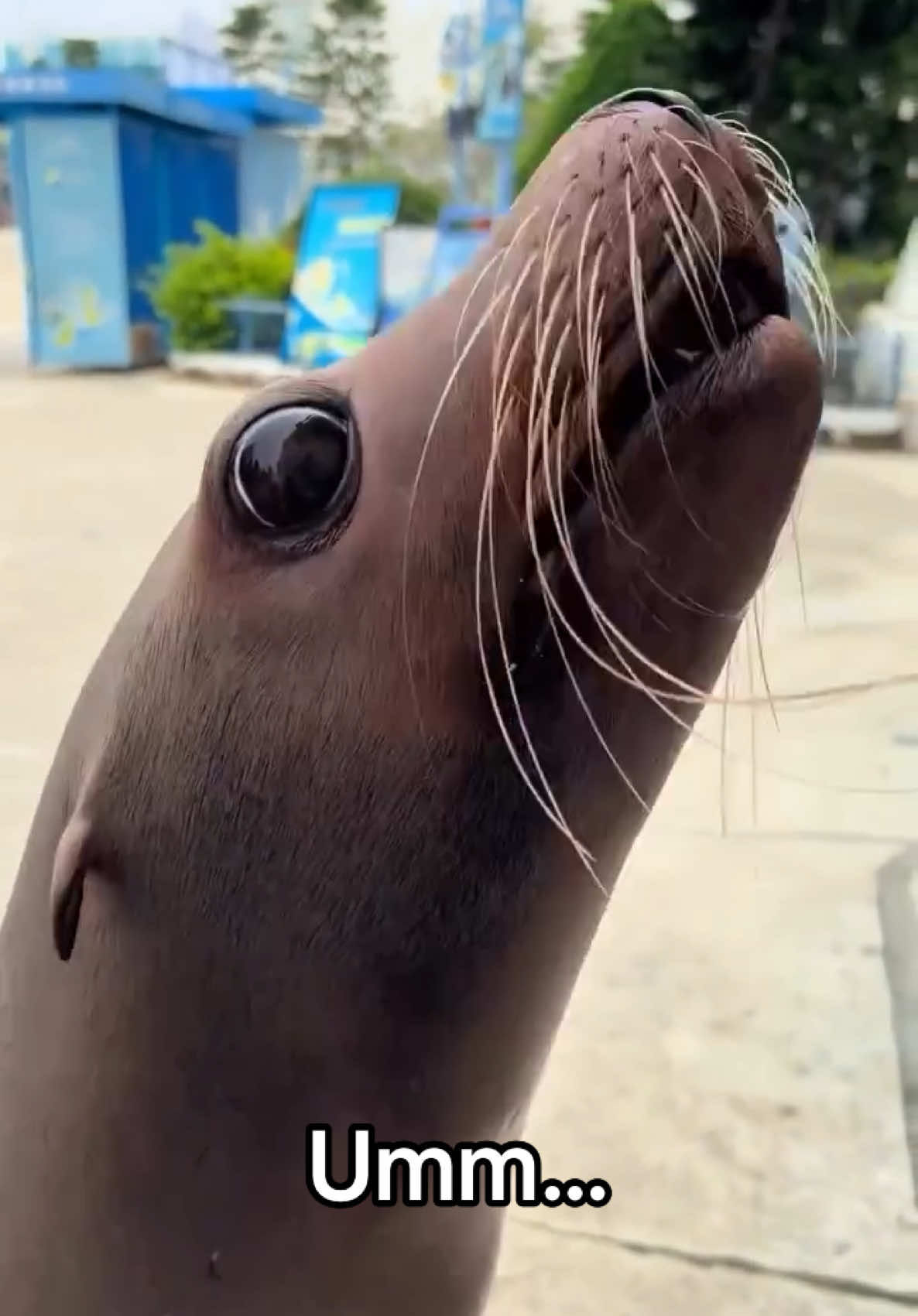 Video post by @overtime on TikTok