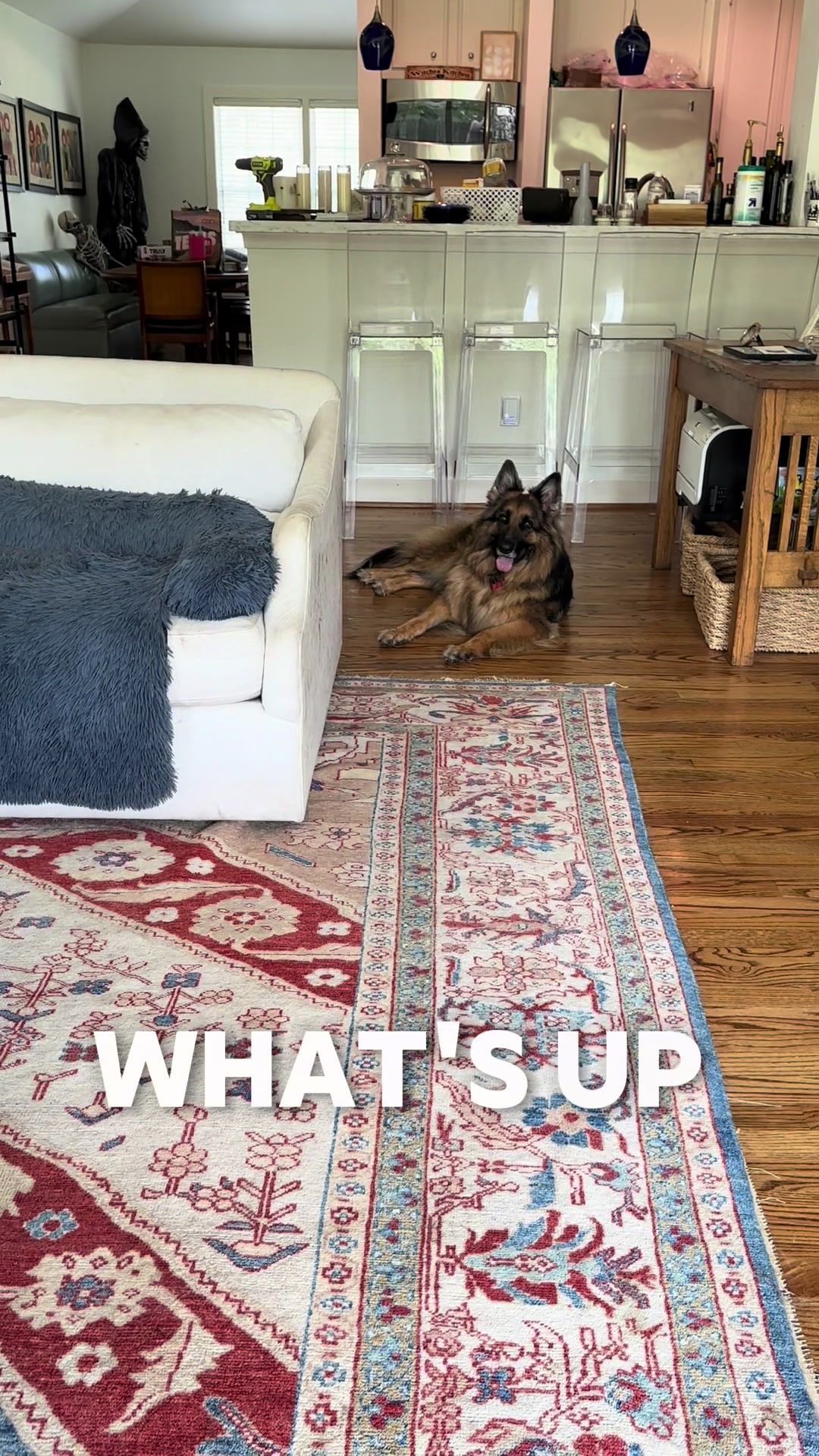 Video post by @mcgiverapparelplus on TikTok