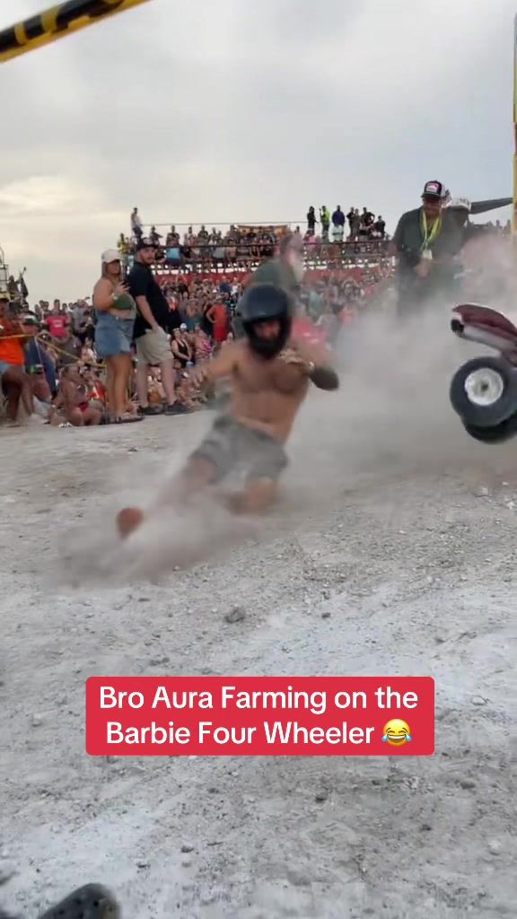 Video post by @whistle on TikTok