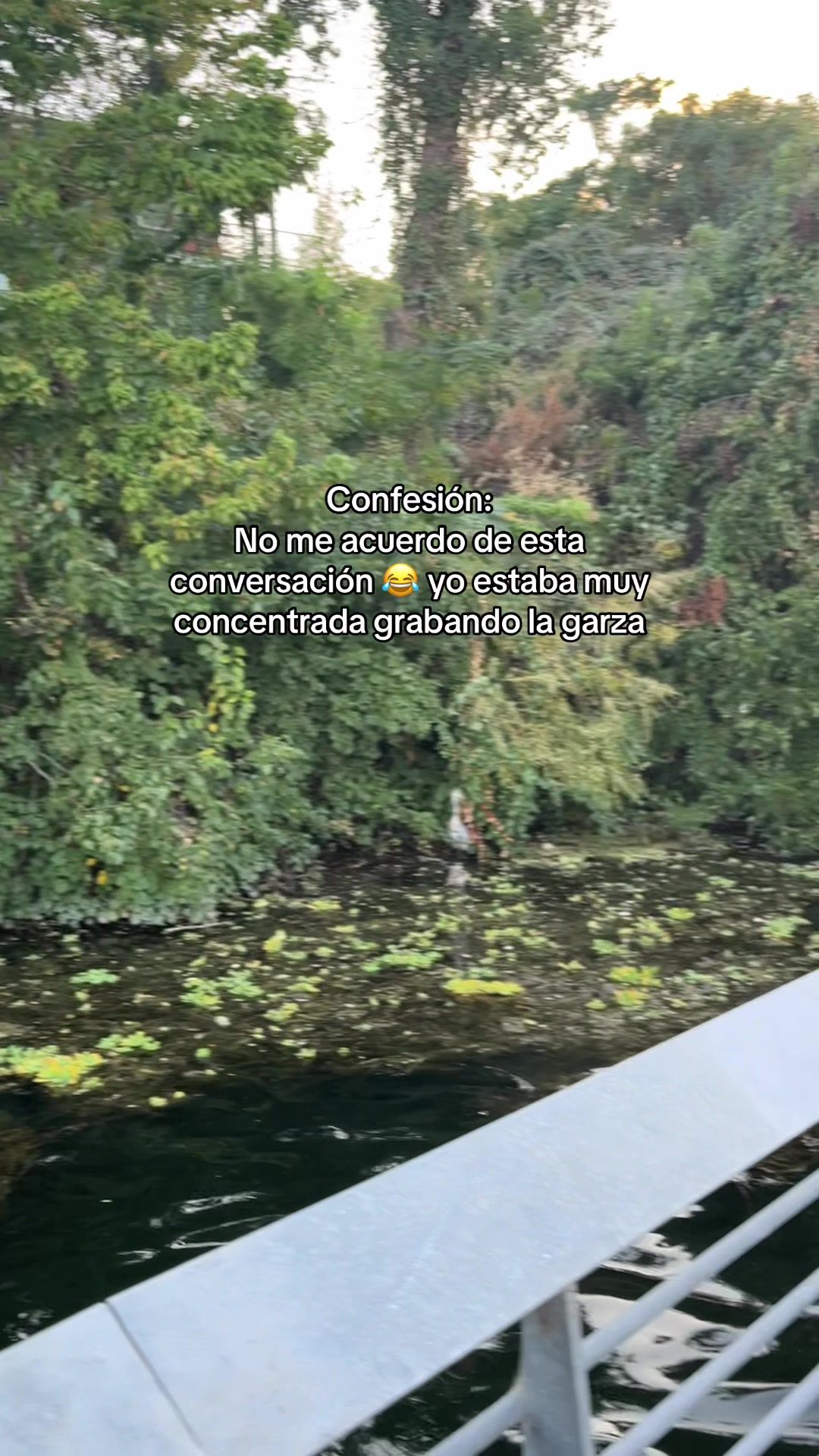 Video post by @_dianangulo on TikTok