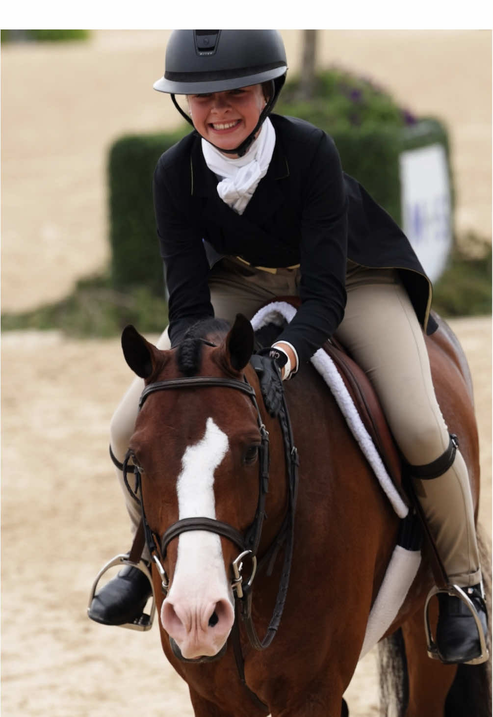 Video post by @usequestrian on TikTok