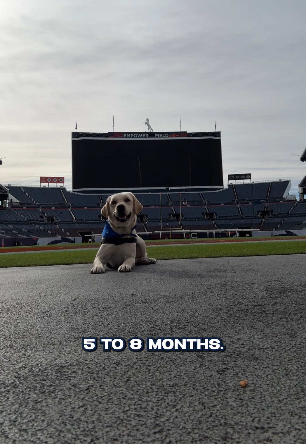 Video post by @broncos on TikTok