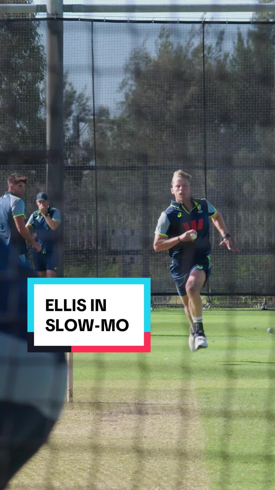 Video post by @cricketaus on TikTok