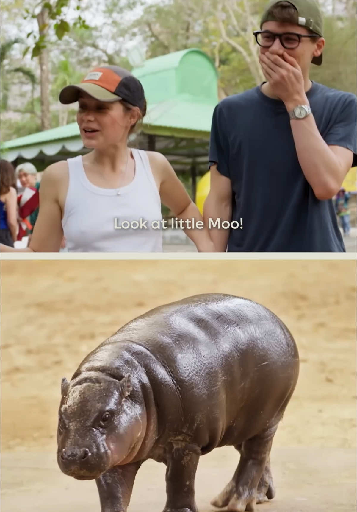 Video post by @streamonmax on TikTok