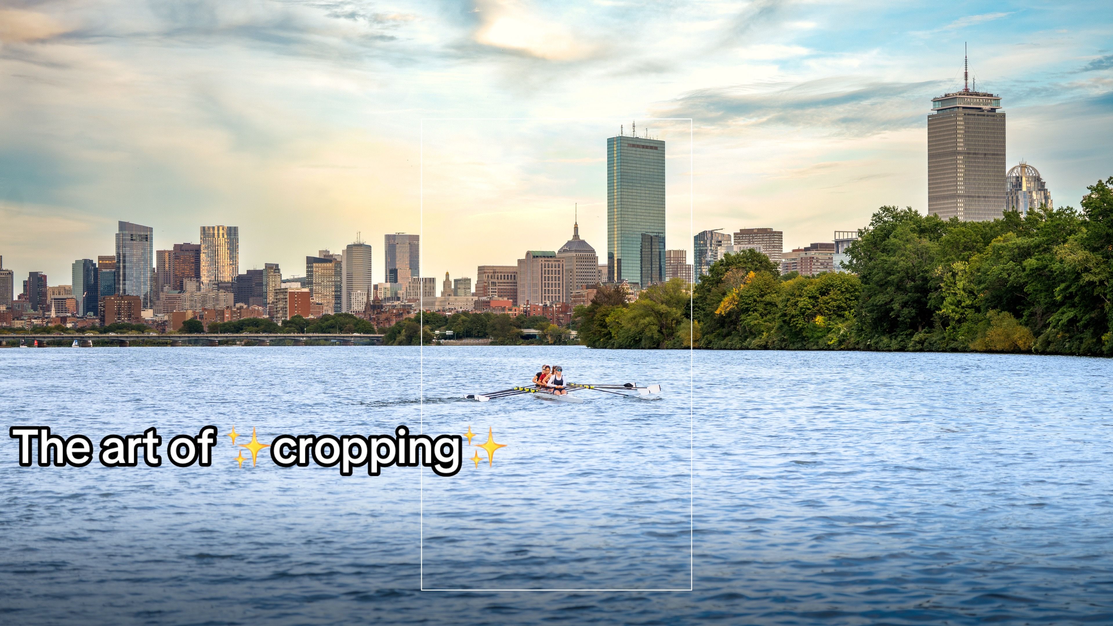 Video post by @harvardcrimson on TikTok