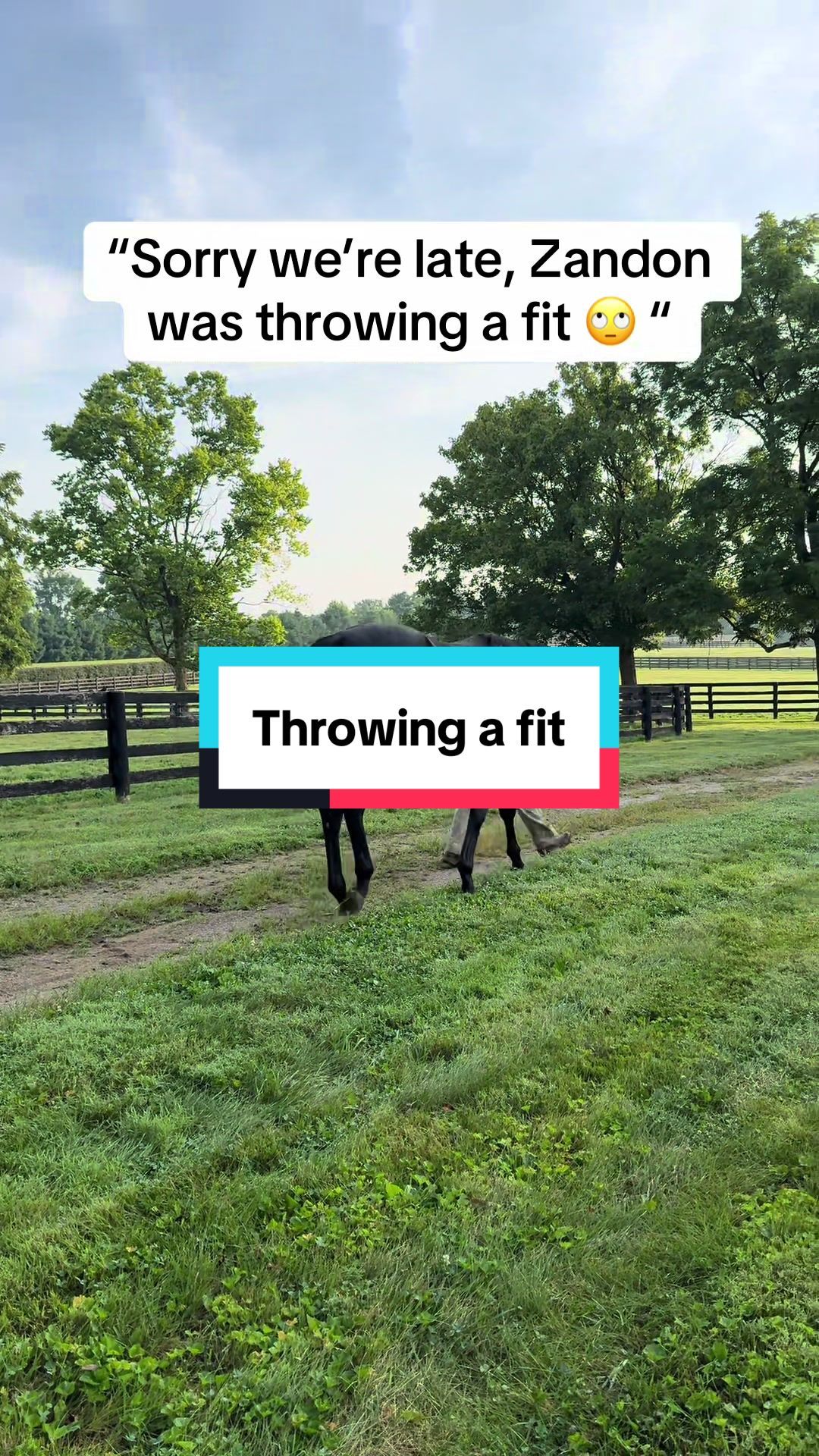 Video post by @spendthriftfarm on TikTok