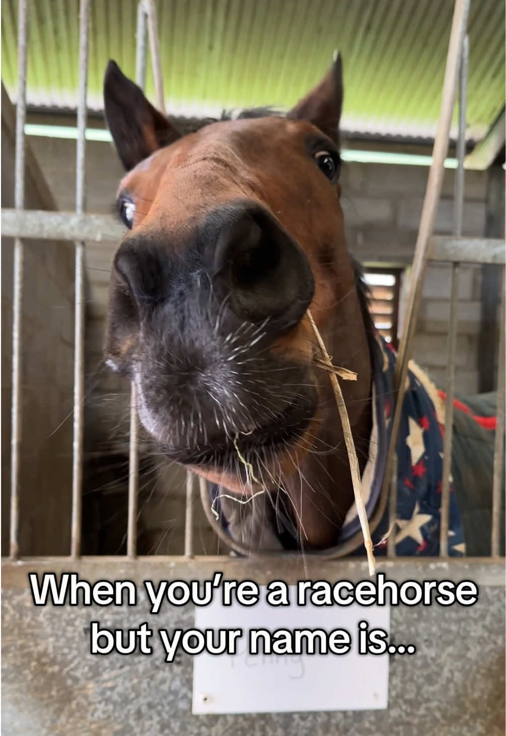 Video post by @thejockeyclub on TikTok