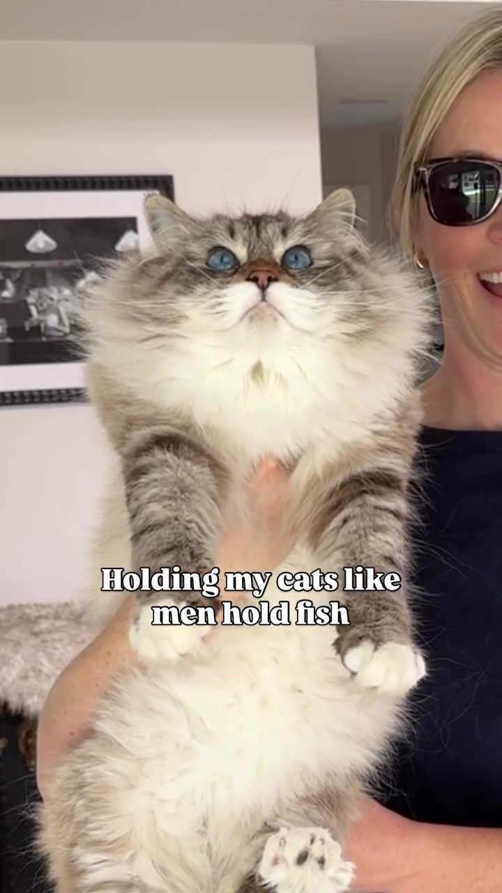 Video post by @catnamedsquirrel on TikTok